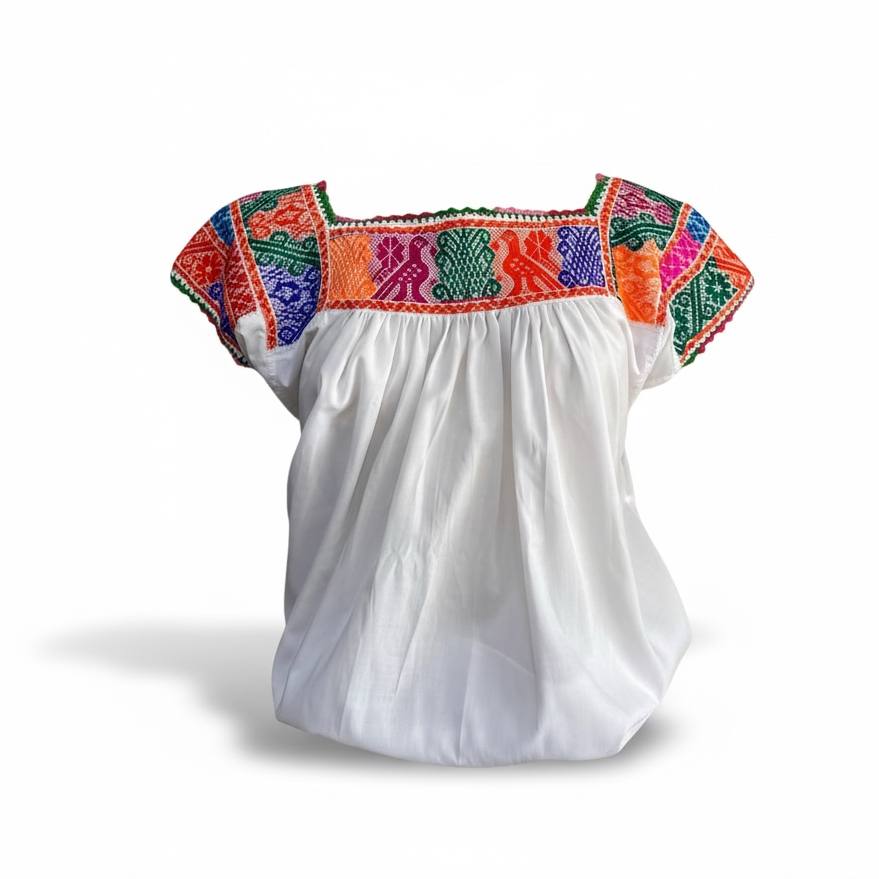 Blusa tradicional mexicana bordada colores